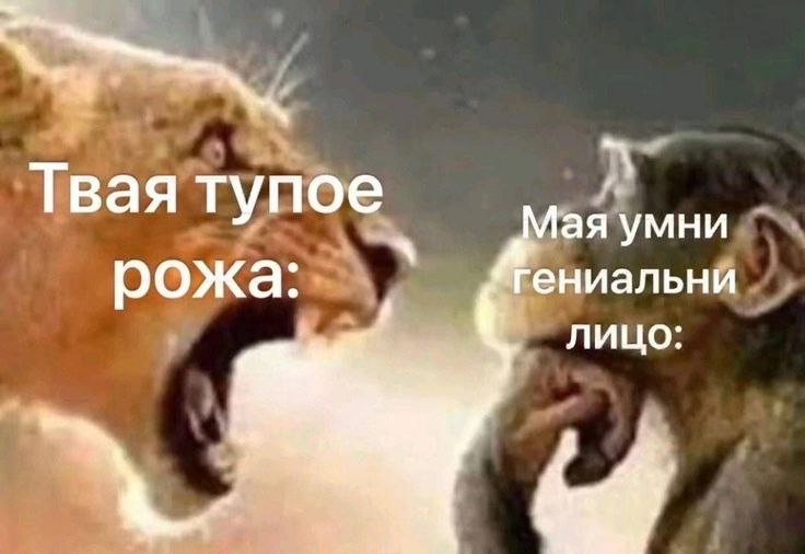 Товар 2